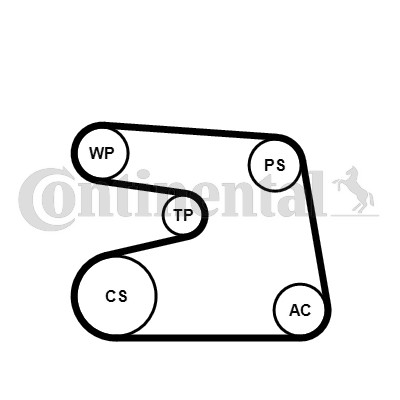 6PK1873WP2 Continental Ctam Wasserpumpe + Keilrippenriemensatz FüR MERCEDES-BENZ-image