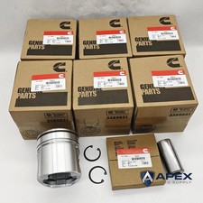 6x 3928673 Pistons Rings Kit For Dodge Cummins 6bt 5.9l 12v 1994-98 Standard New