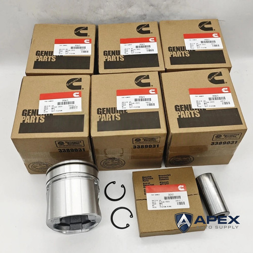 6X 3928673 Pistons Rings Kit For Dodge Cummins 6BT 5.9L 12V 1994-98 Standard NEW