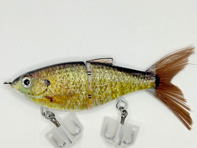 TYG Silencer Junior Bluegill Glide bait swimbait Hybrid Snack 3 inch NEW