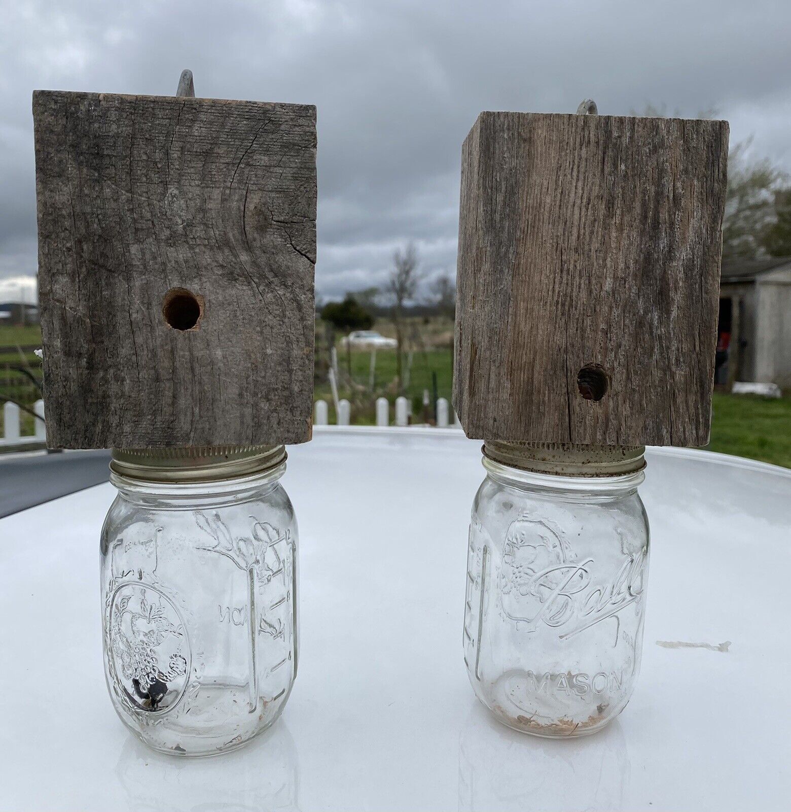 Carpenter Bee Traps - Set Of 2 - includes Jars Traps FREE SHIPPI