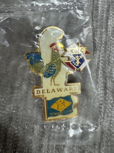 Knights of Columbus Pin Delaware State Council Lapel Hat Vest Catholic Member