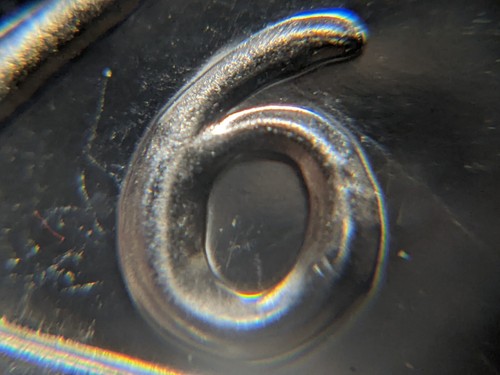 1976-S PROOF DOUBLED DIE DDO-001 VAR-1 EISENHOWER DOLLAR - Picture 11 of 12