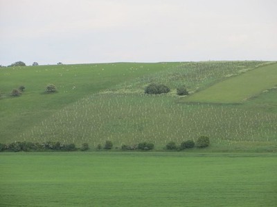 Foto 6x4 Lingley Knoll Moulsford Seltsamer Name für einen Hügel, aber ich bemerkte l c2016
