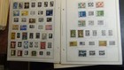 Bild 8 von 24