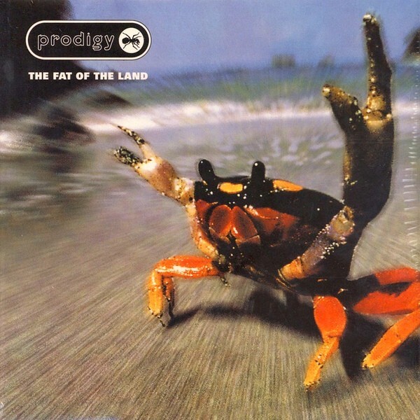 Prodigy* ‎– The Fat Of The Land LP Vinile | eBay