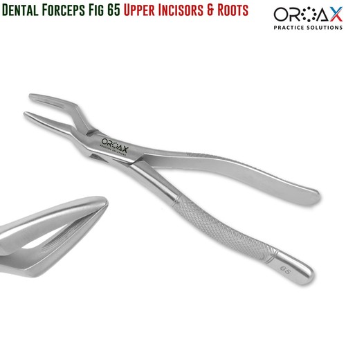 Dental Upper Root & Incisors Forceps Fig 65 – Professional Extraction Tool - Picture 3 of 3