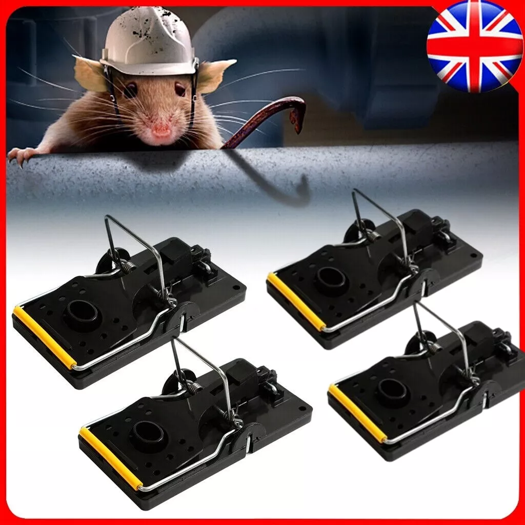 Large on sale rat trap