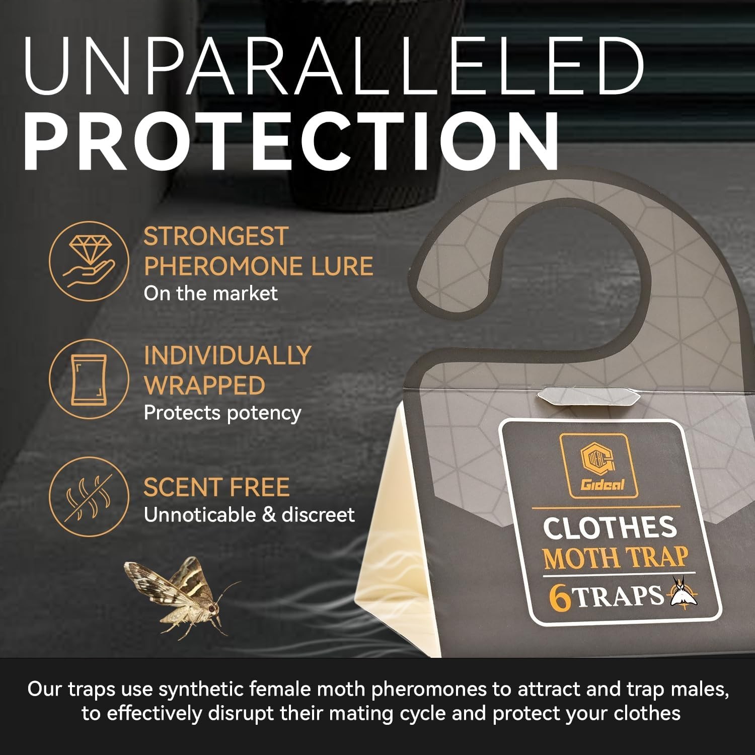 Pantry Moth Traps Safe Glue with Pheromones 6 Pack Effective Adhesive Non Toxic