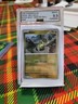 Axew Master Ball Reverse Holo 2025 Black Bolt BLK EN AGS 9.5 Mint Pokémon #068