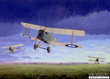 New Zealand Ace Grid Caldwell aviation art post card  SE5A of 74 Squadron