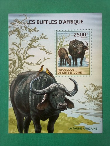 Côte d'Ivoire 2500f les Buffles d'Afrique Neuf MNH Bloc Feuillet BF 2014