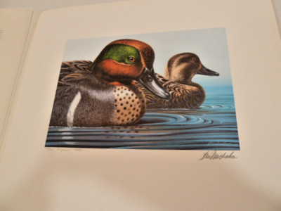 RW 46 1979-80 Federal Duck Stamp, Print, Remarque by Ken Michaelsen