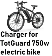 🔥3A fast Li-ion Lithium Battery Charger for 750w 48v TotGuard Electric Bike🔥
