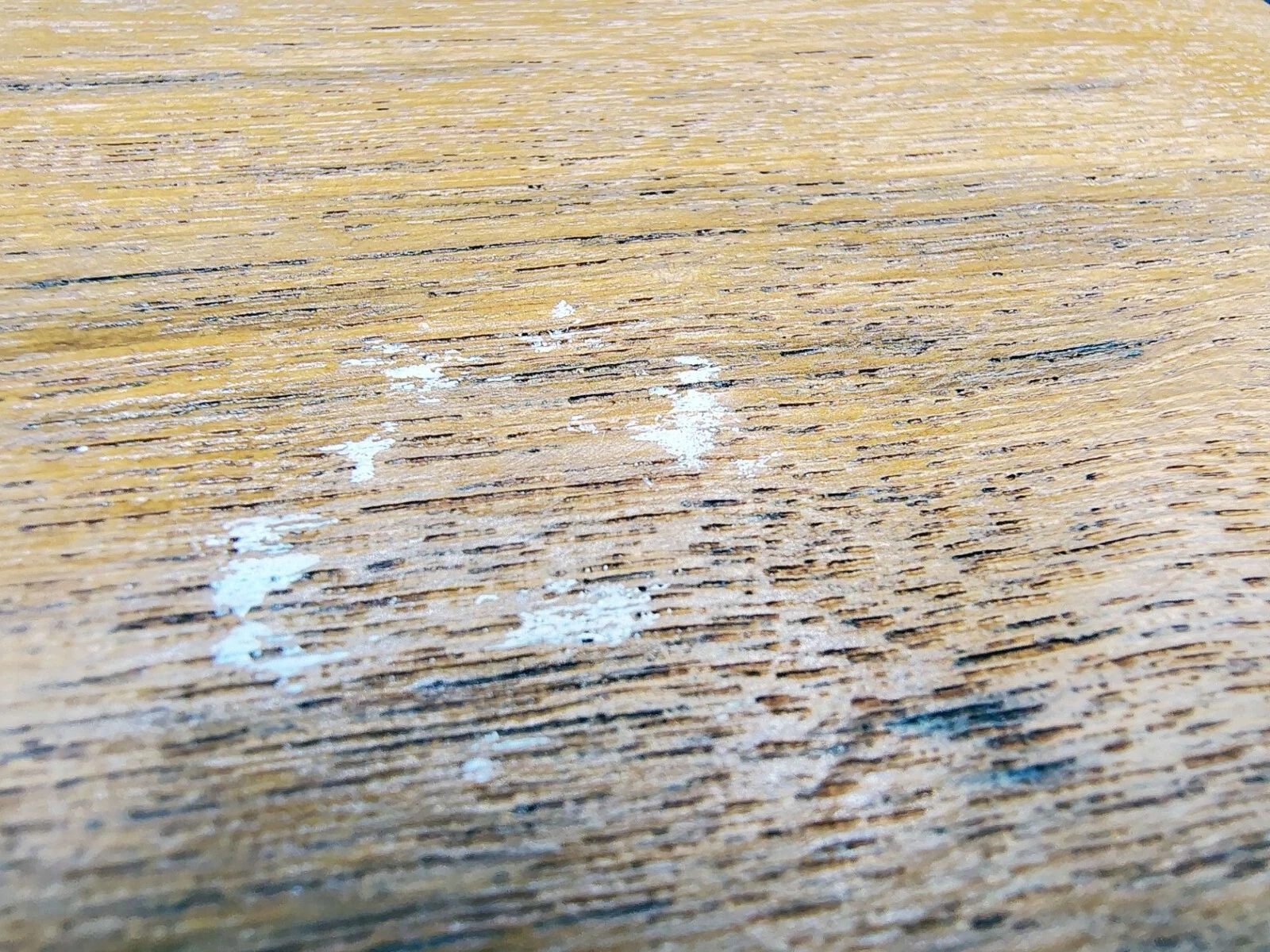 Picture 12 of 15