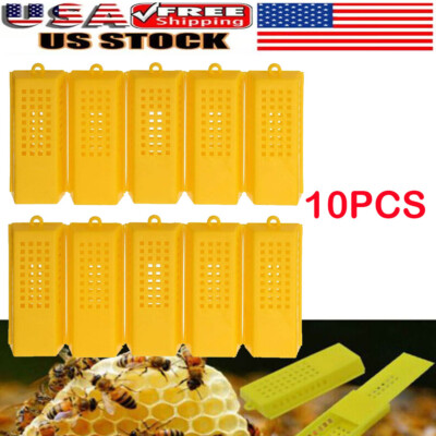 10x/ Set Professional Queen Bee Butler Cage Catcher Trap Case Beekeeping Tool US