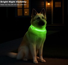 LED Dog Collar USB Rechargeable Flashing Light Up Safety Adjustable Ships USA