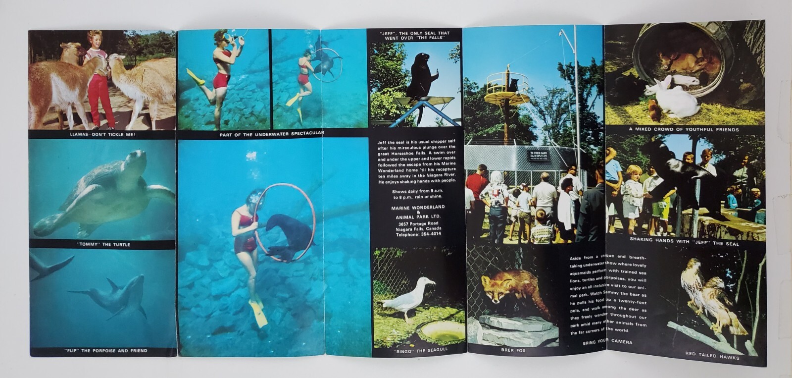 1960s Niagara Canada Marine Wonderland Animal Park Vintage Travel Brochure