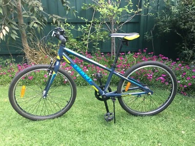 giant veer 24