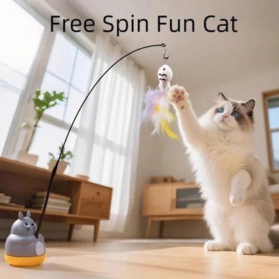Funny Cat Stick Toy   Feather Teaser with Steel Wire Pole