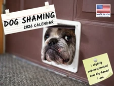 Dog Shaming Calendar 2026 Monthly Wall Calender 12 Month 12x18