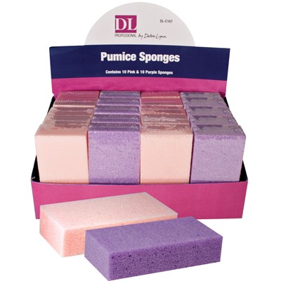 DL PRO 20 PC PUMICE SPONGE DISPLAY
