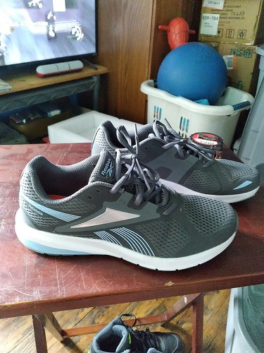 Reebok Endless Road 2.0 Womens Shoes 