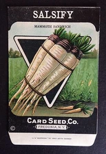 1930s Litho Antique Vintage Seed Packet Salsify Mammoth Card Seed Co. Pack