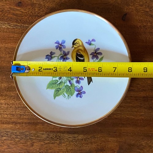 Vintage Bavarian Schumann Arzberg Germany American Goldfinch w/Larkspur Flowers - Picture 5 of 15