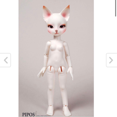 pipos doll Charlotte Basic edition2 Full Set w/ Glass Eyes 