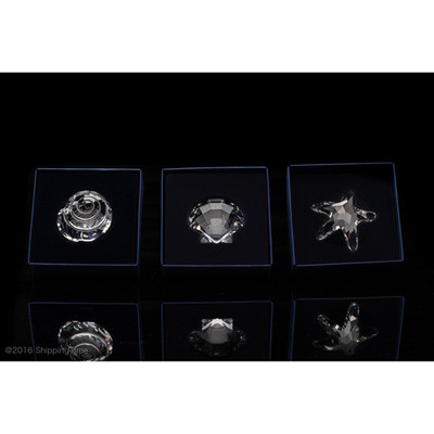 SWAROVSKI SCS Figurines Starfish Scallop Top Shell 679350 833506 880693