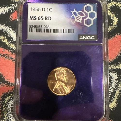 1956 D Lincoln Unc Wheat Cent One Penny Graded NGC MS65 RD Denver Mint