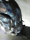 Bild 3 von 12