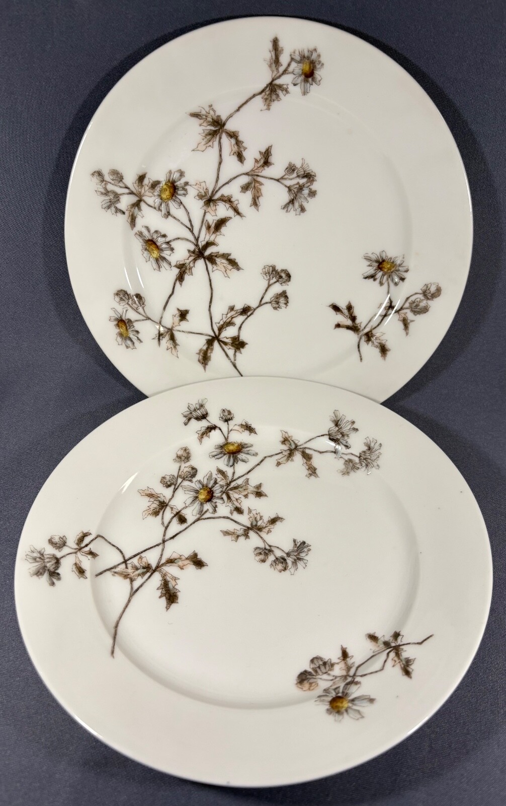 Charles Field Haviland Limoges France Yellow Daisy Daisies Pattern Salad Plates