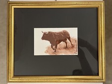 Toro Bravo, Roberto Montanari