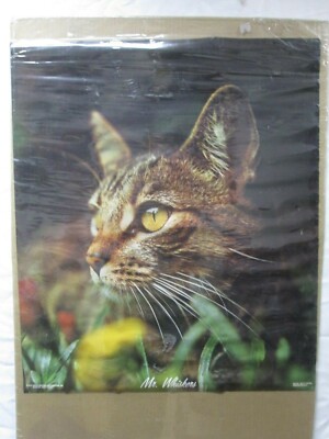 MR. WHISKERS 1973 CAT KITTY VINTAGE POSTER CNG576