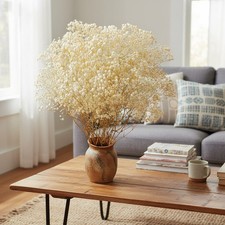 4000 Dried Babys Breath Flowers Bulk - 17.2" Ivory White Dried Flowers Bouquet