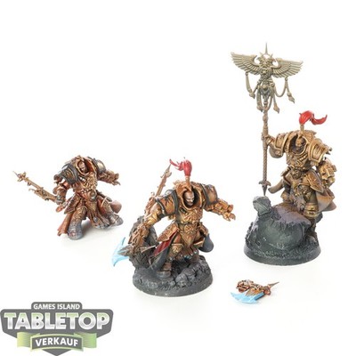 Adeptus Custodes - 3 Allarus Custodians - teilweise bemalt