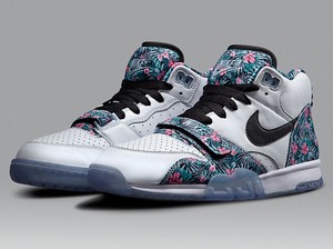air trainer 1 jordan 3