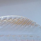 Bild 4 von 5