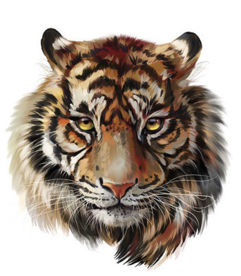 Aufbügler Transferfolie Tiger ca. 22 x 21 cm Katze T-Shirt Bügelbild Raubtier
