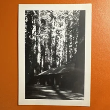 VINTAGE PHOTO Rangers Headquarters Highway 101 California Redwood Ntl Park 1940s