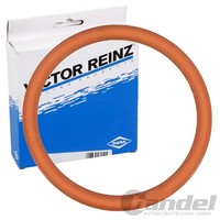 Reinz Dichtung AnsaugbrÜCke FüR CitroËN Berlingo C2 C3 Nemo Saxo Xsara ZX Fiat
