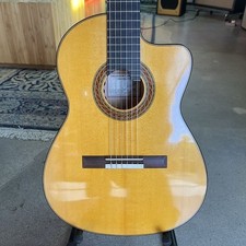 Classical /Flamenco/ Electric/ Guitar/Salvador Castillo