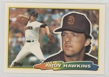Andy Hawkins