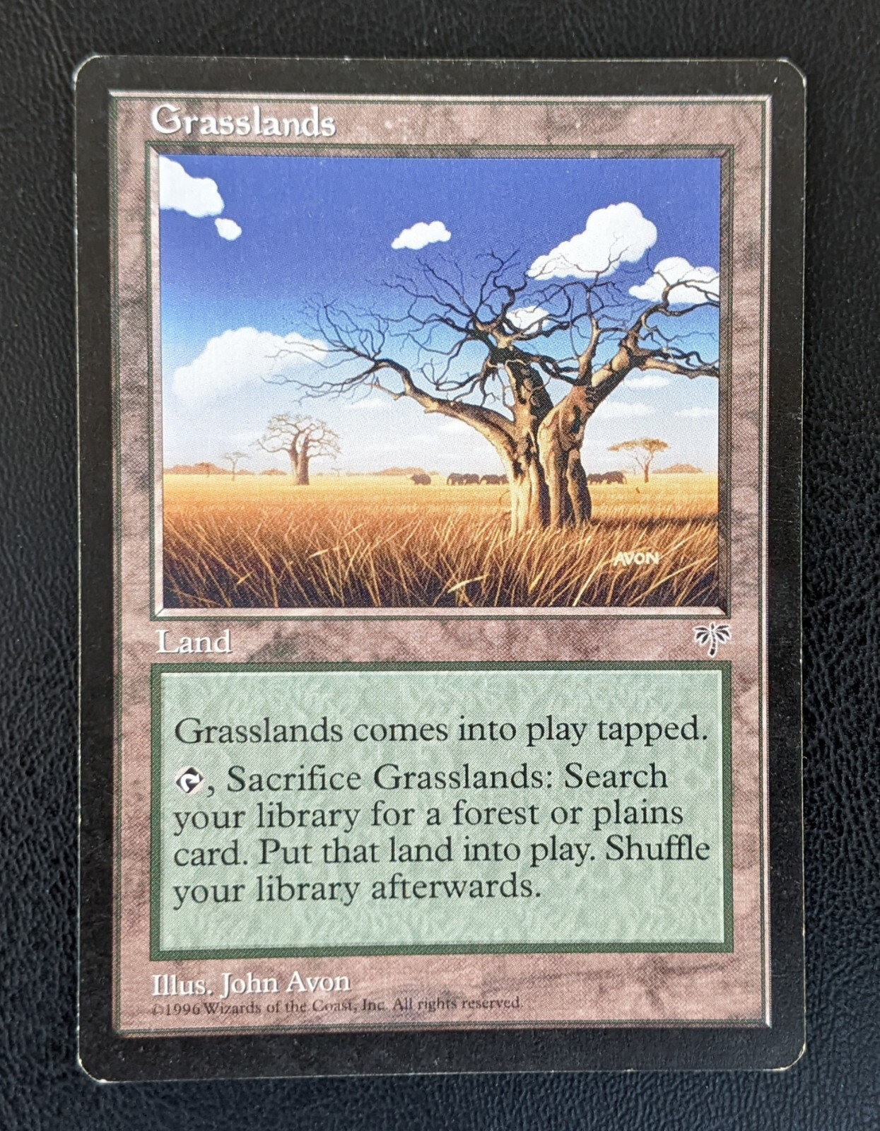 MTG Grasslands Mirage Uncommon Land Magic the Gathering Card 1996 English