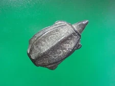 PHAYA TAO RUEAN GEN.1 LP NGERN WAT BANG KLAN PIM LEK B.E.2465,(C260766,1)