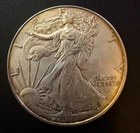 2022 American Silver Eagle 1 Troy Oz .999 Fine Silver