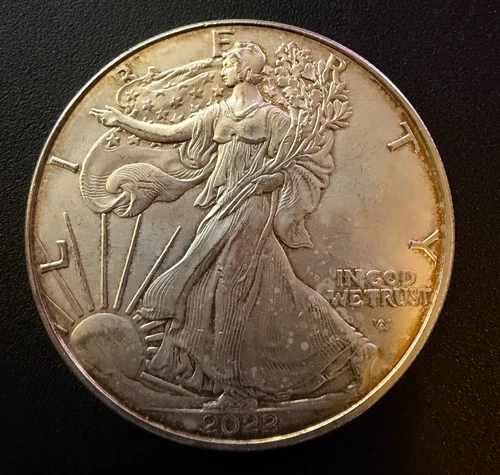 2022 American Silver Eagle 1 Troy Oz .999 Fine Silver