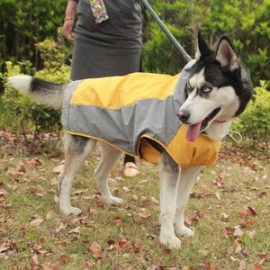 husky raincoat